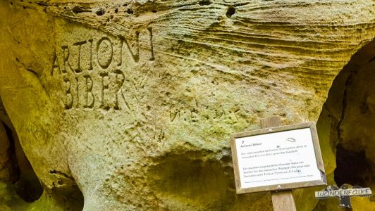 Artioni Biber Felsenweg 6 NaturWanderpark delux Teufelsschlucht Ernzen Echternach