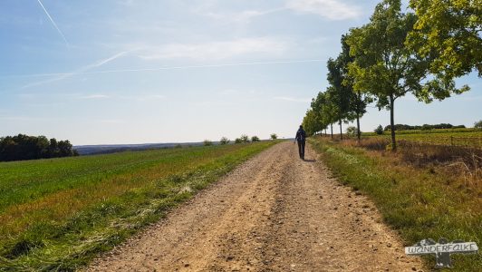 Feldwege Felsenweg 6 NaturWanderpark delux Teufelsschlucht Ernzen Echternach