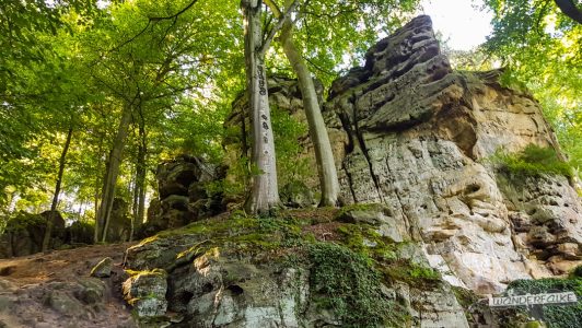 Felsenkanzel Felsenweg 6 NaturWanderpark delux Teufelsschlucht Ernzen Echternach