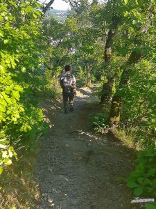 Mittelrhein Klettersteig Boppard Abstieg