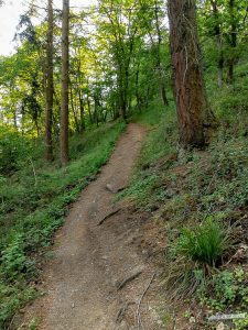 Mittelrhein Klettersteig Boppard Traumschleife Waldpfad