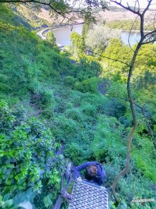 Mittelrhein Klettersteig Traumschleife Boppard zweite Leiter