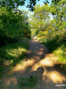 Wanderweg Mittelrhein Klettersteig Traumpfad Boppard