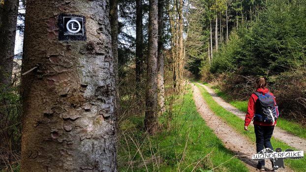 Löffelpfad Hilchenbach Wandern Siegerland Wanderfalkeonline Wanderblog