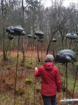 Wandern Drolshagen KulTour Maiersports Wanderfalkeonline Härtetest