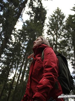 Wandern Wanderfalkeonline Maiersports Härtetest Wald Waldbaden